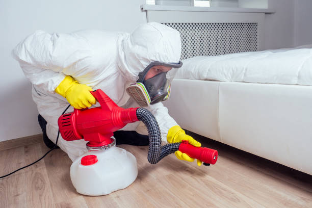 Best Fumigation Services  in Choccolocco, AL